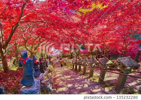 秋季，從神奈川縣伊勢原市大泉寺的石階上可以看到孩童雕像和秋葉。 135232280