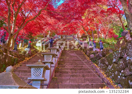 秋天,站在神奈川縣伊勢原市大泉寺的石階下,仰望著孩童雕像和秋葉。 秋天,站在神奈川縣伊勢原市大泉寺的石階下,仰望著孩童雕像和秋葉。 135232284