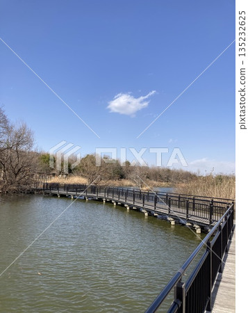 陽光明媚的日子公園裡的長廊 135232625