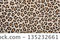 Leopard print background material 135232661