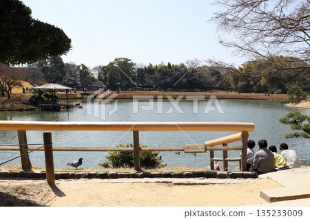 Okayama Korakuen Plum Blossom Season (Okayama Prefecture) 135233009