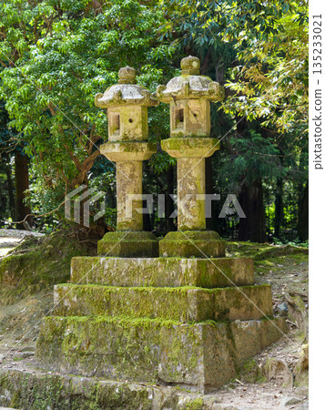 通往神社的路上有石燈籠。 135233021