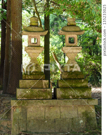 通往神社的路上有石燈籠。 135233025