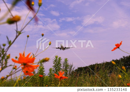 飛機降落 飛機降落 135233148