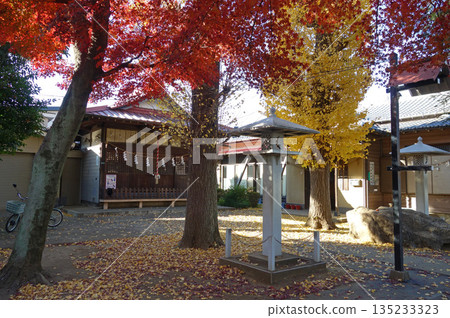 The grounds of Musashi Heian Shrine (Kokubunji, Tokyo) The grounds of Musashi Heian Shrine (Kokubunji, Tokyo) 135233323
