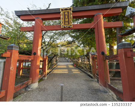 通往冰室神社的鳥居 通往冰室神社的鳥居 135233337