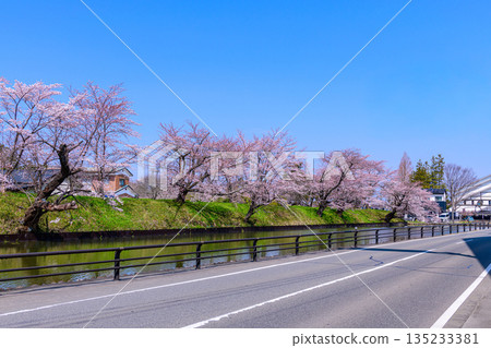 Cherry blossoms on the outer moat of the Soma Nakamura Castle ruins in Fukushima Cherry blossoms on the outer moat of the Soma Nakamura Castle ruins in Fukushima 135233381