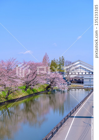 福島相馬中村城遺址外護城河上的櫻花 135233385