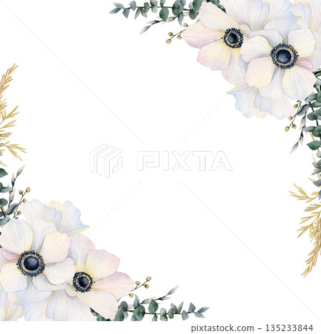 White wedding poppies frame with eucalyptus grass watercolor illustration isolated for delicate invitations, spring greeting cards and pastel women's day design. Floral square template with copy space 135233844