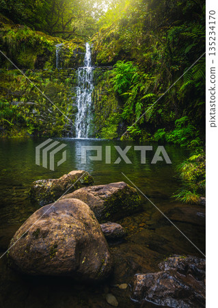 Picturesque waterfall and small lake in the green forest, Madeira 135234170