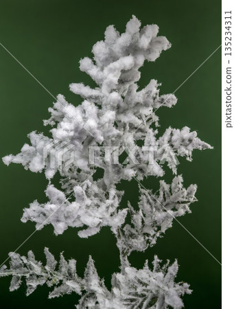Frosted Winter Branch with Thick Snow Against a Green Background 135234311