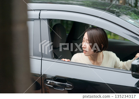 一個女人開車 一個女人開車 135234317