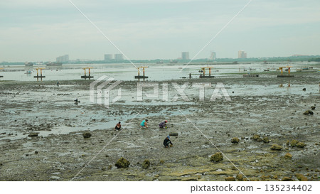 Collecting shell crab sea for food poor people collect local everyday to survive during low tide. Wide coastal beach seashell gathering, finding shellfish snail. Way of living, hard work, day survival Collecting shell crab sea for food poor people collect local everyday to survive during low tide. Wide coastal beach seashell gathering, finding shellfish snail. Way of living, hard work, day survival 135234402