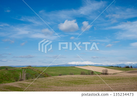 春季田間耕作區和雪山大雪山 135234473