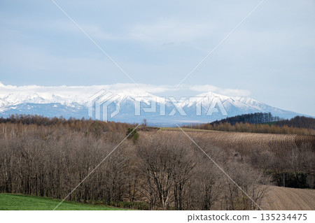 春意盎然的山丘與皚皚雪山：十勝山脈 135234475