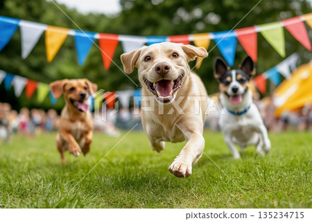 一場趣味十足的狗狗運動會，狗狗們沿著裝飾著彩色旗幟的賽道飛奔。 135234715
