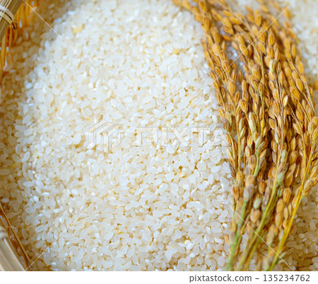 Rice grains in a wooden basket with a ear of rice. Healthy natural food in Korea 135234762