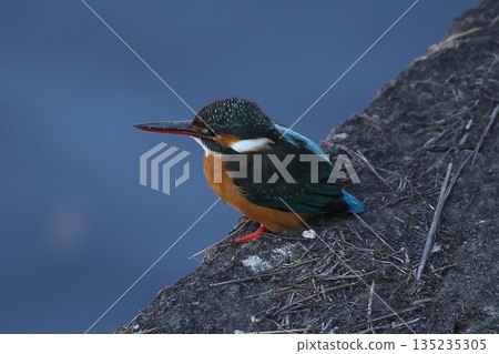 Interdiction 135235305