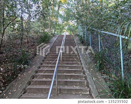 武藏國分寺藥師堂（東京都國分寺市） 135235502