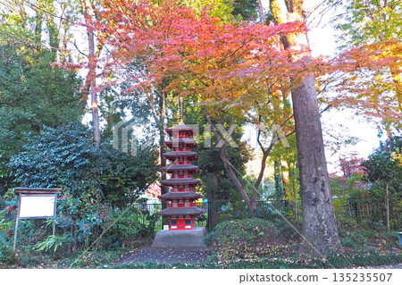 Musashi Kokubunji Temple Site Museum, Estimated Reconstruction Model of the Seven-Story Pagoda [Kokubunji City, Tokyo] 135235507