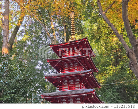 武藏國分寺遺址博物館，七重塔的估計重建模型 [東京國分寺市] 135235518