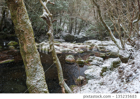 Winter's Kikuchi Valley 135235683