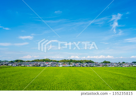 夏日晴空下的鄉村景色(三重縣四日市市) 夏日晴空下的鄉村景色(三重縣四日市市) 135235815