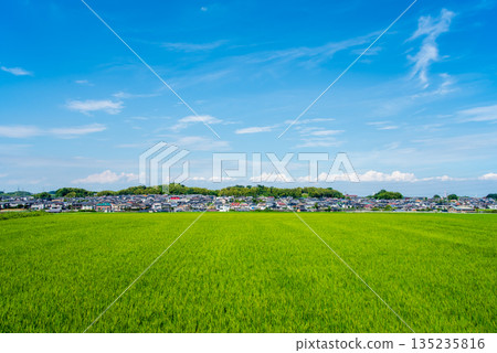 夏日晴空下的鄉村景色(三重縣四日市市) 夏日晴空下的鄉村景色(三重縣四日市市) 135235816