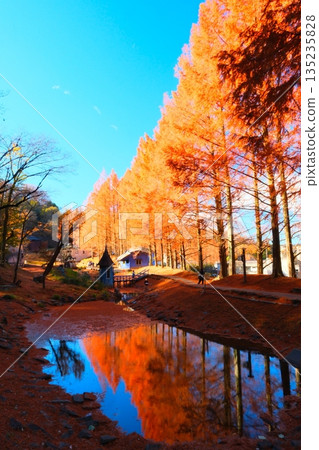 姆明谷的秋天 135235828