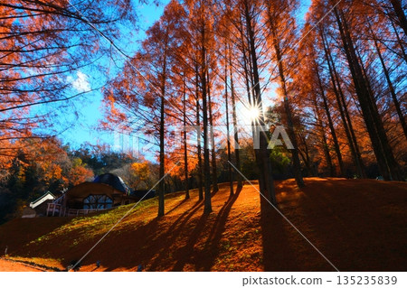 Autumn in Moomin Valley 135235839