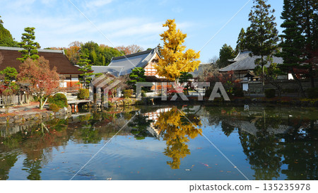 Kokeizan Eihoji Temple, Tajimi City, Gifu Prefecture 135235978