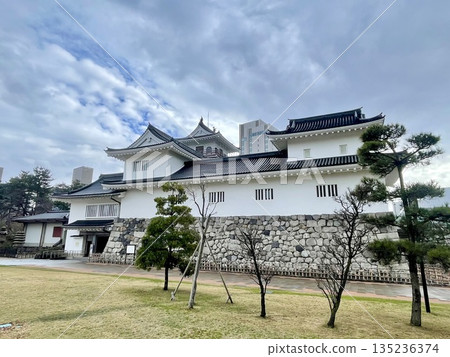 [Toyama Prefecture] A horizontal composition of Toyama Castle, with its white walls and pine trees 135236374