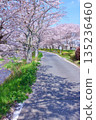 (Springtime Stories) Cherry Blossom News from Around Japan 135236460