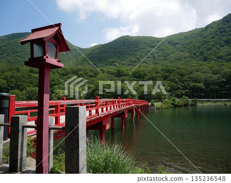 A charming bridge and nature A charming bridge and nature 135236548