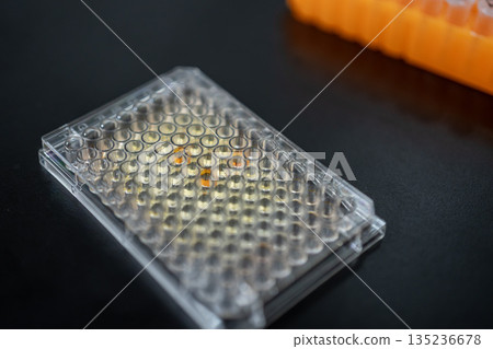 微孔板 微孔板 135236678