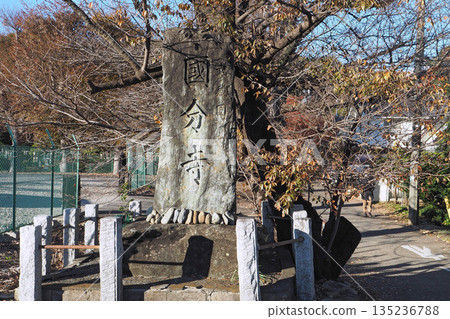 Musashi Kokubunji [Kokubunji City, Tokyo] 135236788