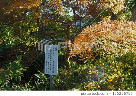 武藏國分寺萬葉庭園（東京都國分寺市） 135236795