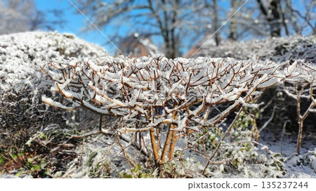 Hamburg, Germany - March 11 2023: Snowy Hamburg 135237244