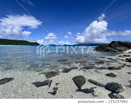 熱帶海灘,海浪輕柔,海水淺。 熱帶海灘,海浪輕柔,海水淺。 135237991