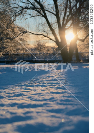 Snow scene in the park early in the morning in winter Snow scene in the park early in the morning in winter 135238296