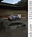 清晨的太宰府天滿宮神社神牛 135238386