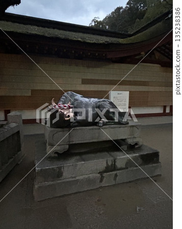 清晨的太宰府天滿宮神社神牛 135238386