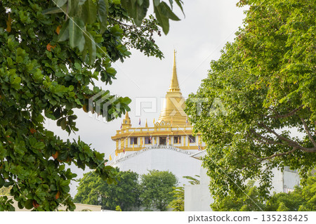 瓦薩克特 135238425