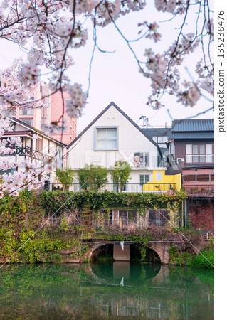 hotel with bear dolls and hot spring ryokan at spring, Ureshino 135238476