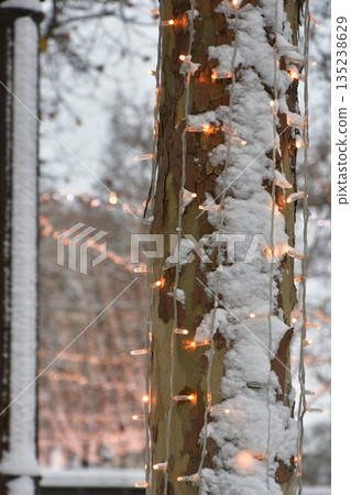 January 7, 2026: Heavy snow on the Champs-Élysées in Paris. Snow-covered street trees and illuminations. January 7, 2026: Heavy snow on the Champs-Élysées in Paris. Snow-covered street trees and illuminations. 135238629