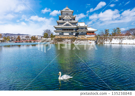 Matsumoto Castle, swans, winter scenery [Matsumoto City, Nagano Prefecture] 135238848