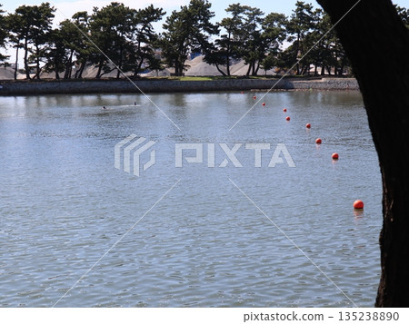 高砂海濱公園20220904 (23) 高砂海濱公園20220904 (23) 135238890