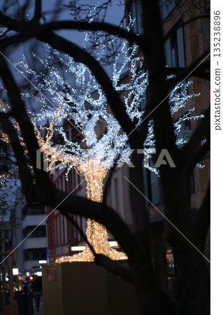 christmas, decoration, tree 135238896