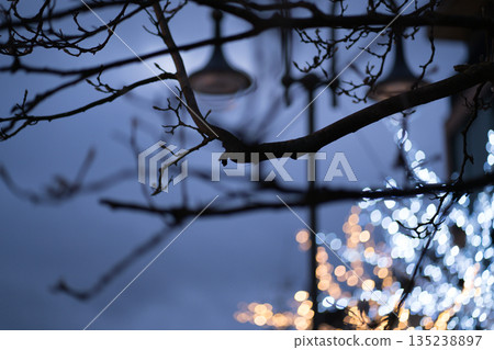 christmas, decoration, tree 135238897