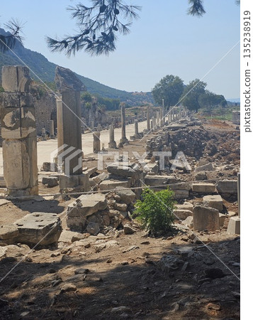 Ancient Ephesus, ruins in Turkey, ruins of the Ancient Roman and Ancient Greek empires, Selcuk, Izmir province Ancient Ephesus, ruins in Turkey, ruins of the Ancient Roman and Ancient Greek empires, Selcuk, Izmir province 135238919